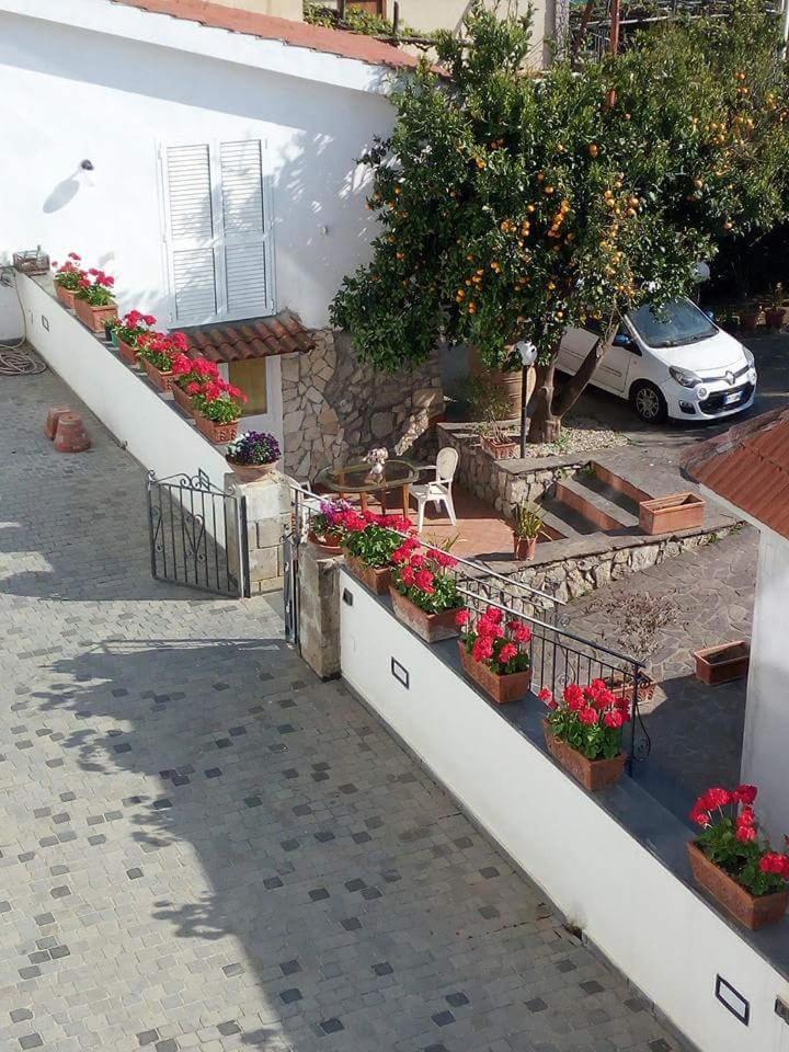 La Casa Del Sole Acomodação com café da manhã Vico Equense Exterior foto